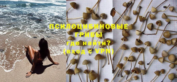 трава Майский