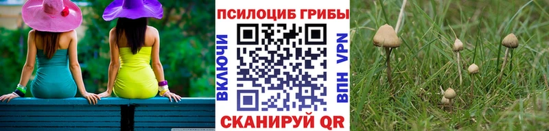 Купить  Новошахтинск  Галлюциногенные грибы мухоморы 