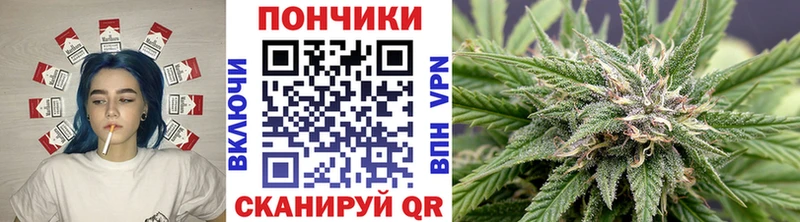 Купить закладки  Новошахтинск  Бошки марихуана тримм 